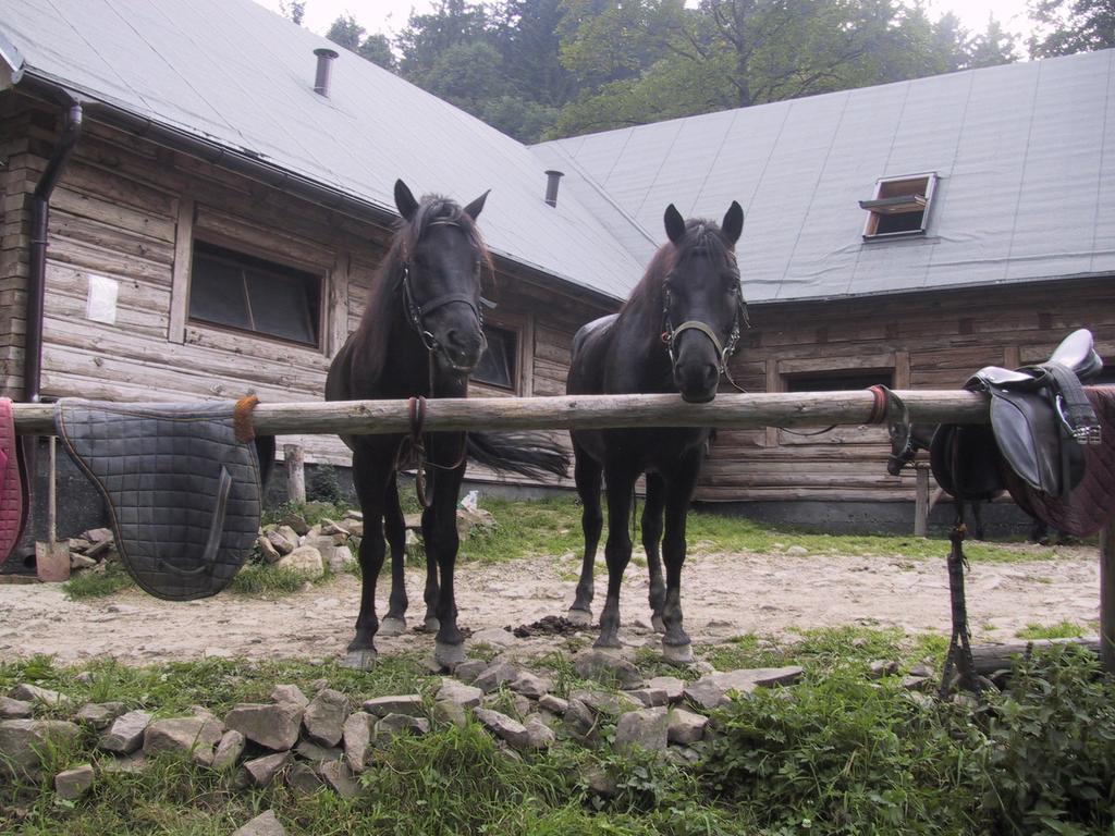 Osrodek Beskid Fizjo & Spa Korbielów Exterior foto