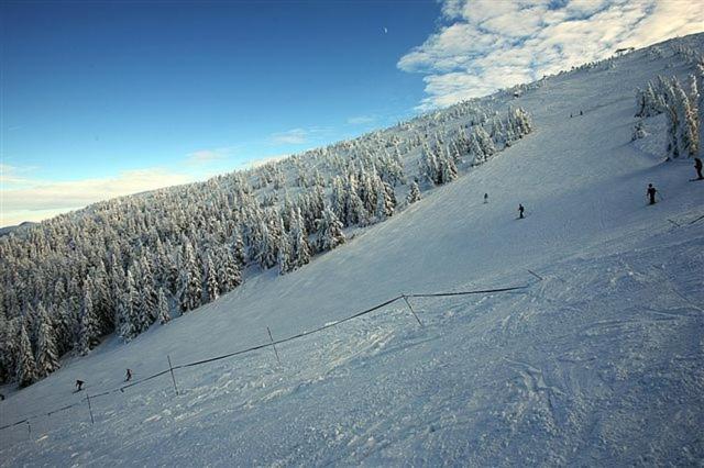 Osrodek Beskid Fizjo & Spa Korbielów Exterior foto